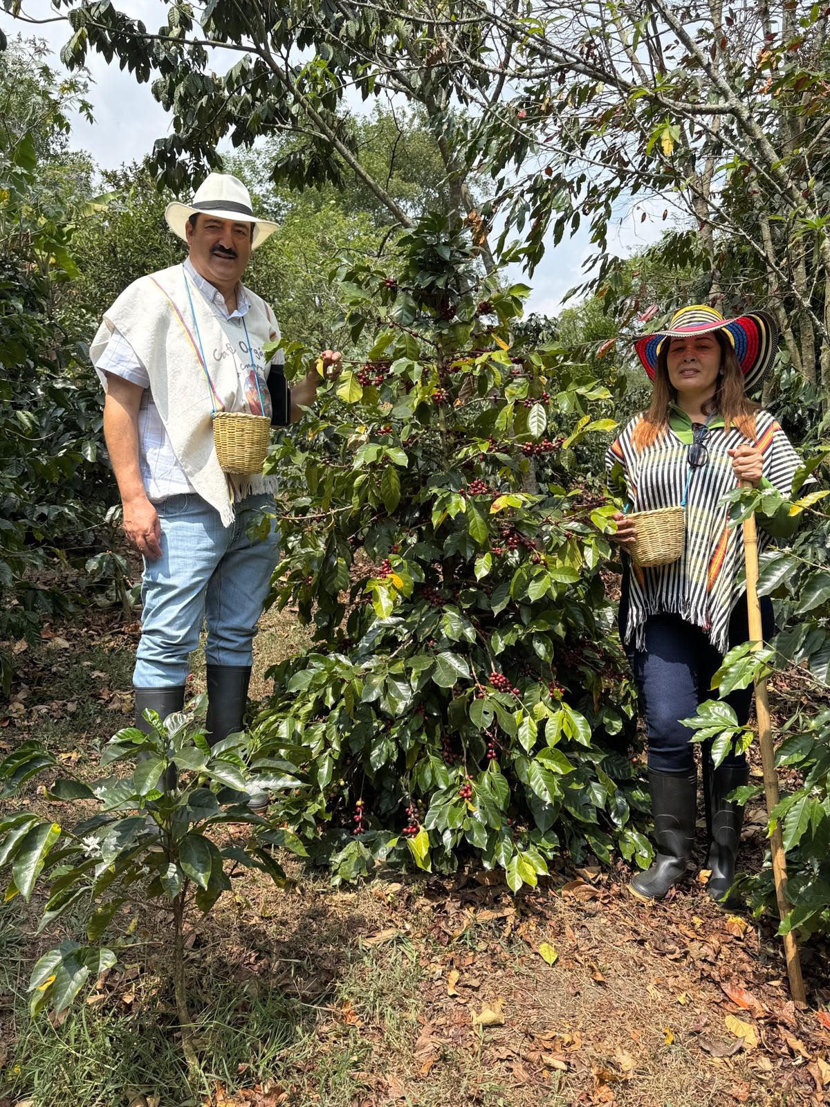 Coffee Tour 3